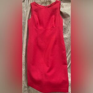 Black label size 10 women’s hot pink dress